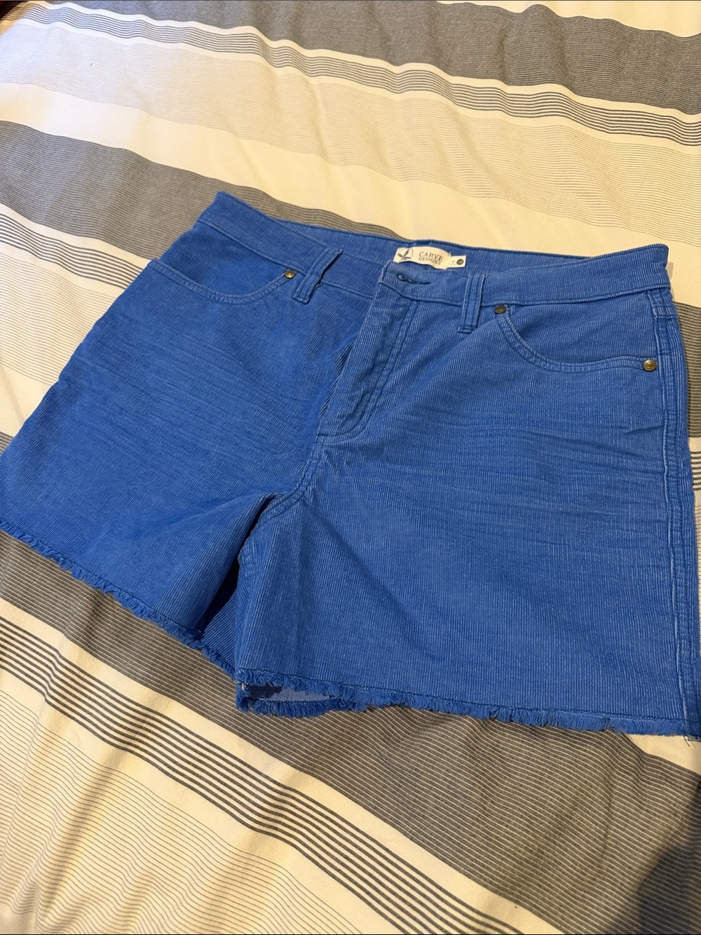 Carve Designs Bright Blue Corduroy Mid-Rise Shorts - Picture 3 of 5